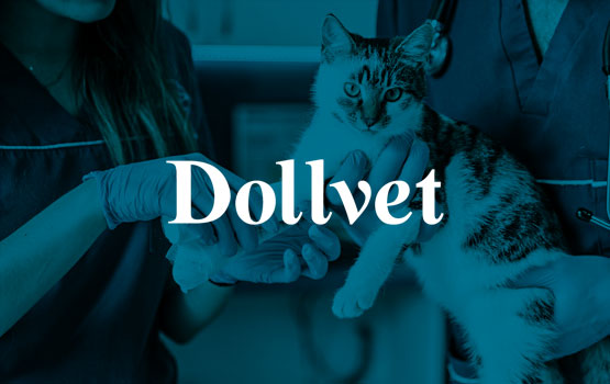 DOLVET İLAÇ