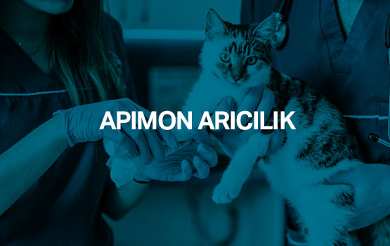 APIMON ARICILIK