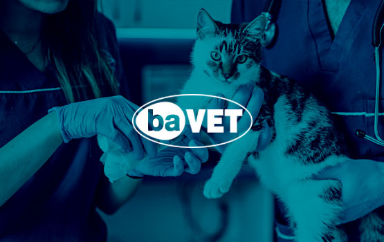 BAVET