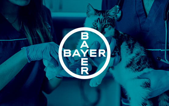 BAYER