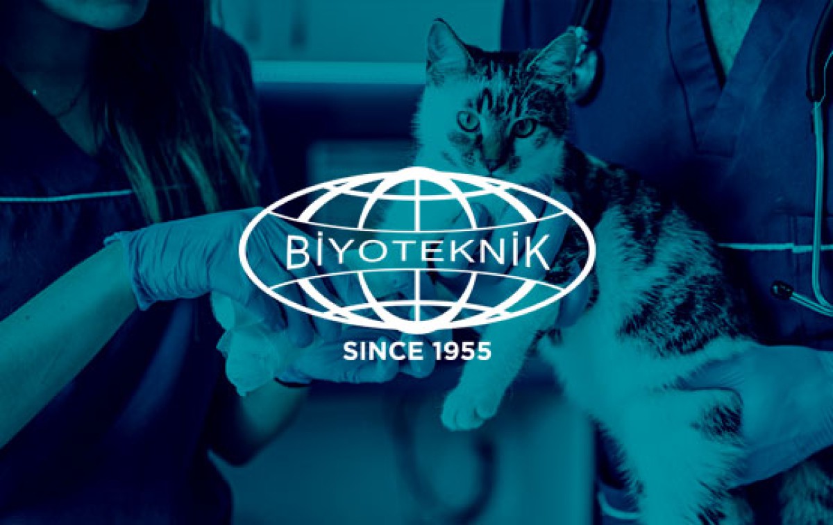 BİYOTEKNİK