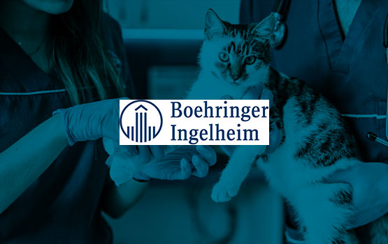 BOEHRİNGER INGELHEIM