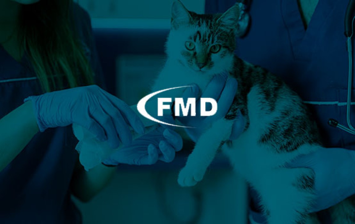 FMD