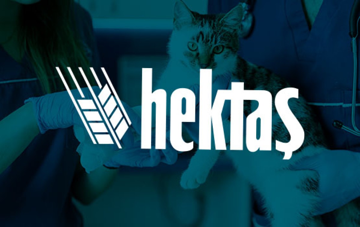 HEKTAŞ