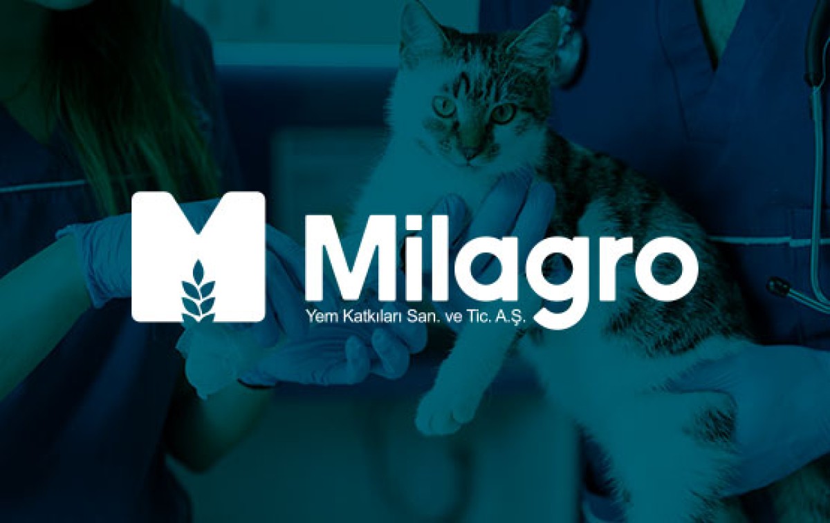 MİLAGRO