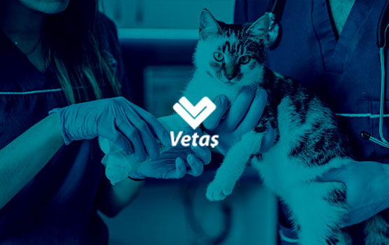 VETAŞ